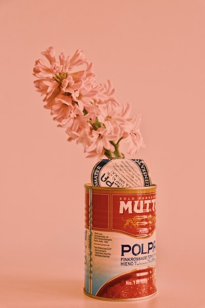 粉红色的花在棕色和白色的罐子上